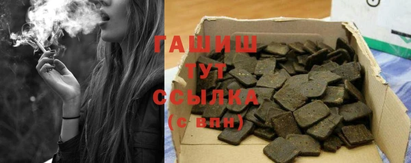 стаф Касимов