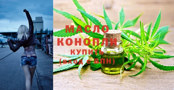 стаф Касимов