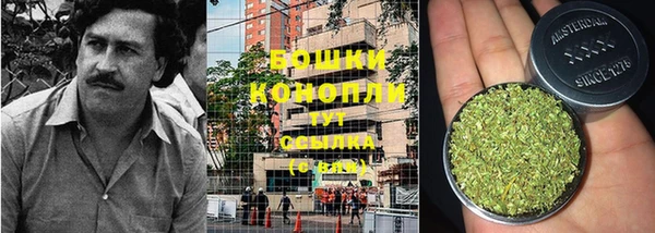 apvp Карпинск