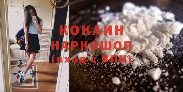 стаф Касимов
