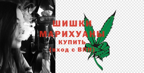 стаф Касимов