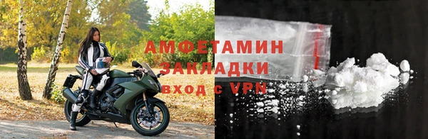 стаф Касимов