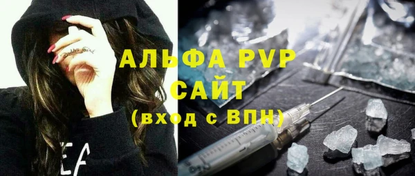 стаф Касимов