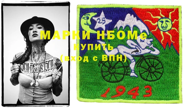 стаф Касимов