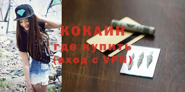 стаф Касимов