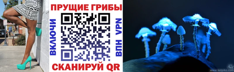 Галлюциногенные грибы прущие грибы  OMG ONION  Нелидово 